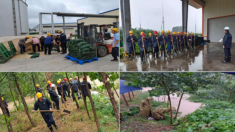 片狀實木結構板廠家,osb廠家,lsb廠家,板材廠家,osb板廠家,lsb板廠家,osb,lsb